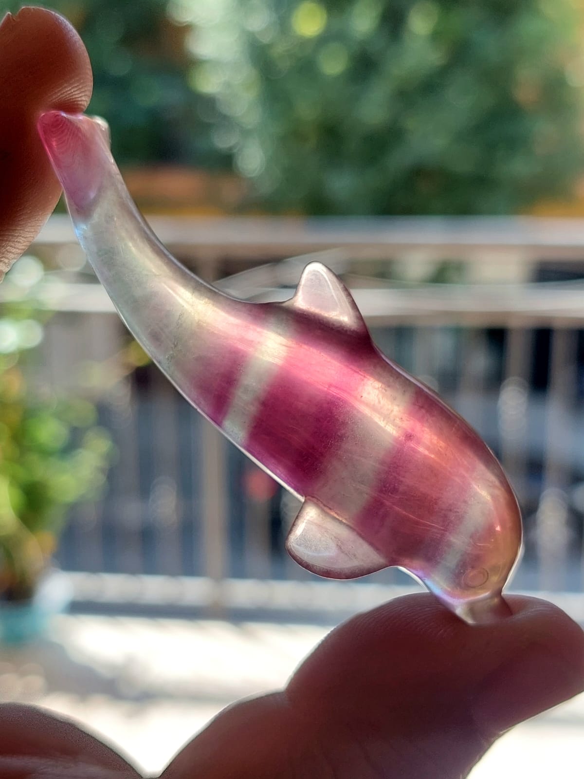 Fluorite delfino - 6,9 cm