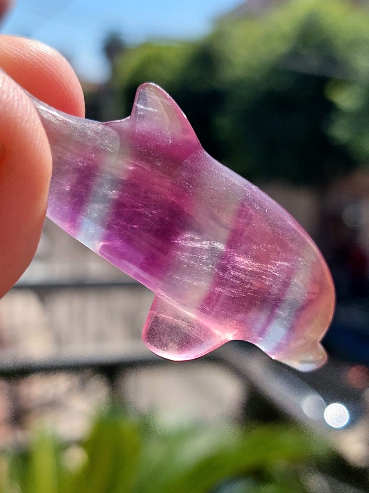 Fluorite delfino - 6,9 cm