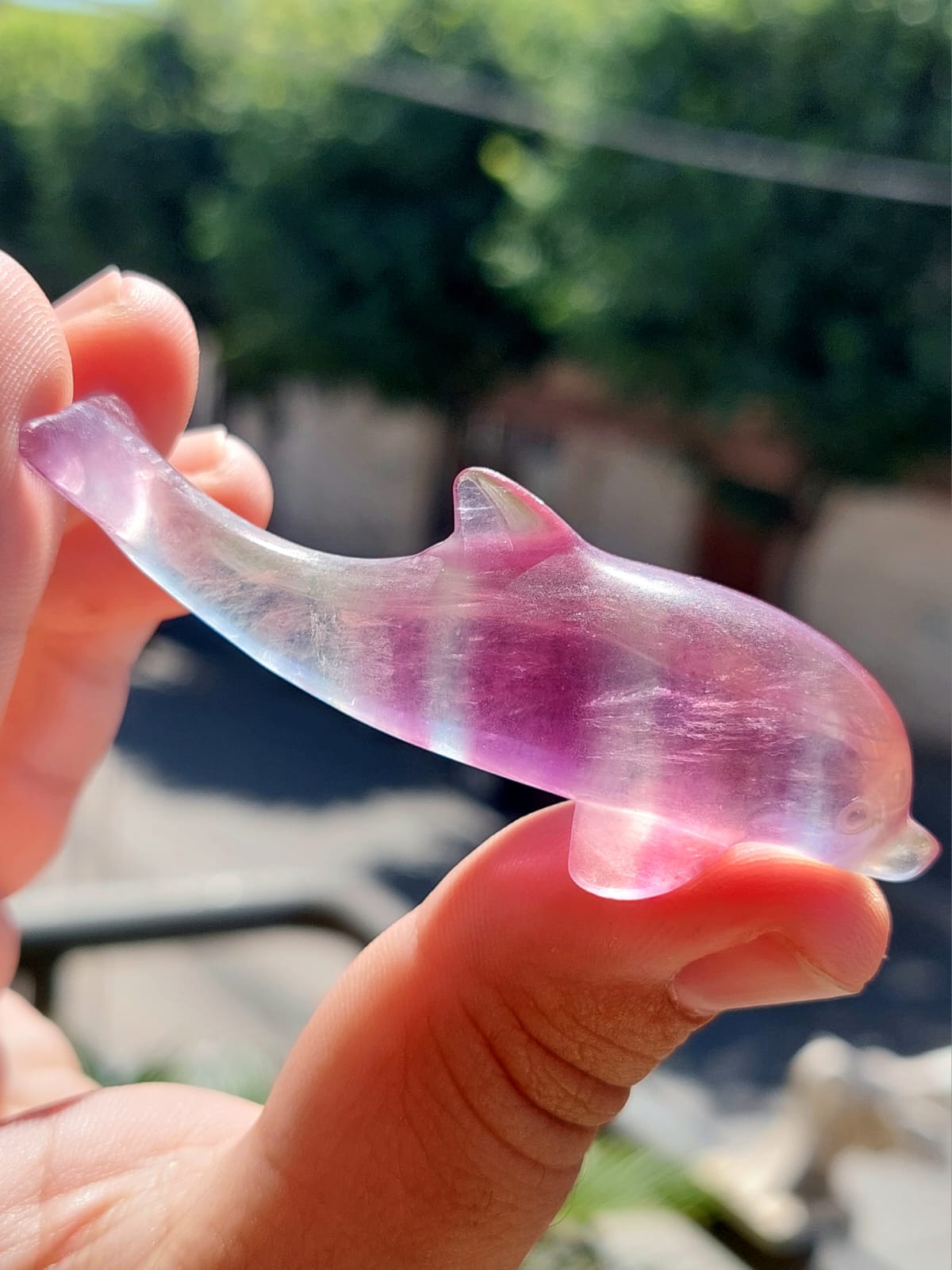 Fluorite delfino - 6,9 cm
