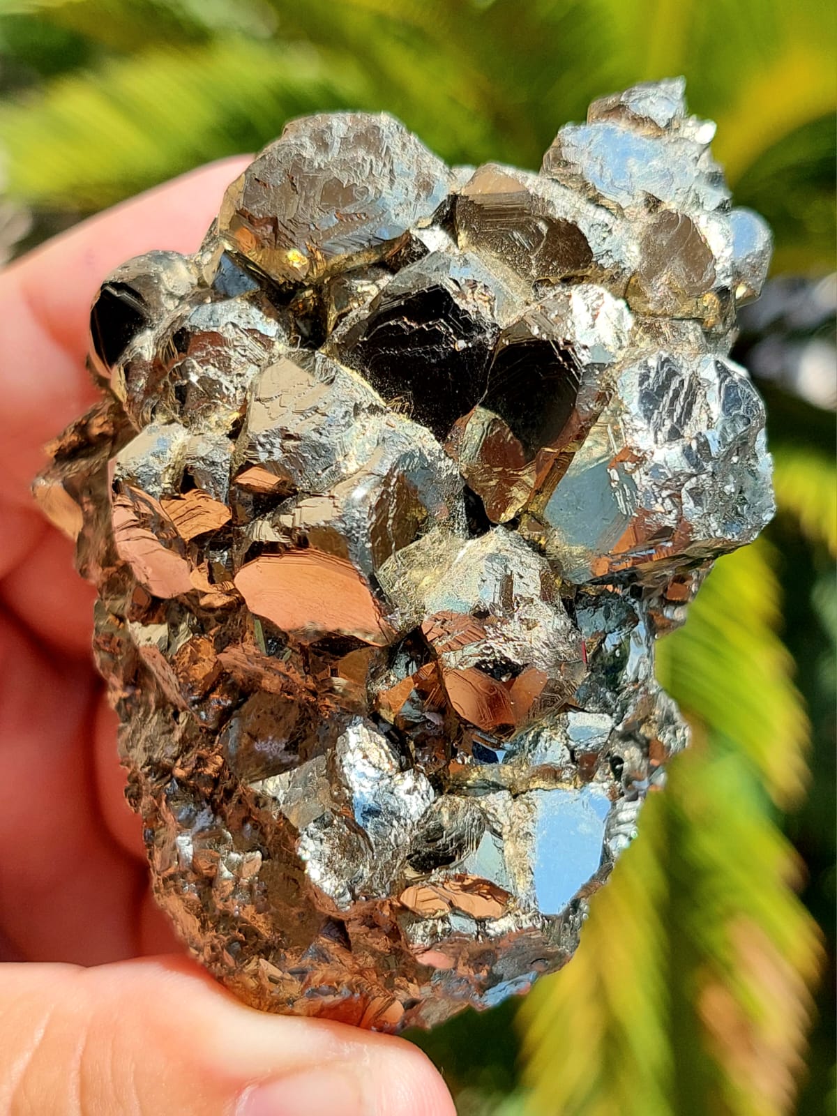 Cluster Pirite
