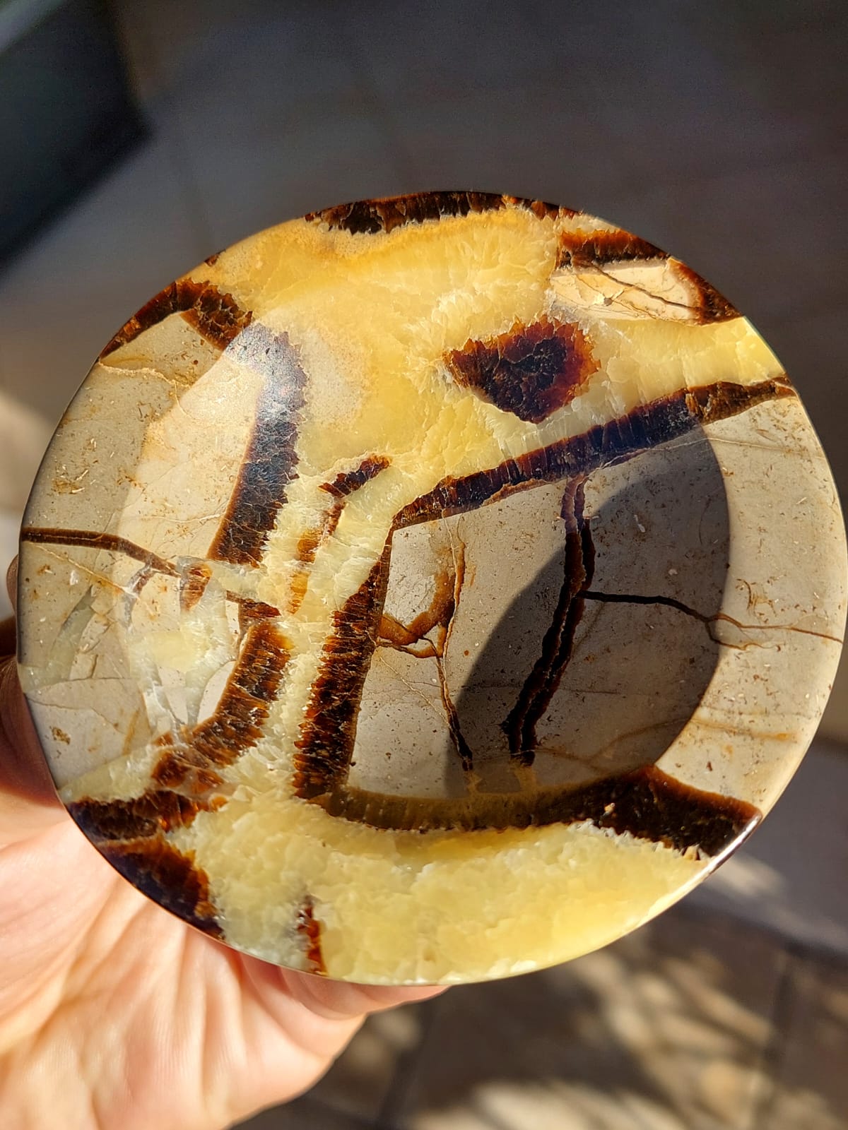 Septaria ciotola - 8,5 cm