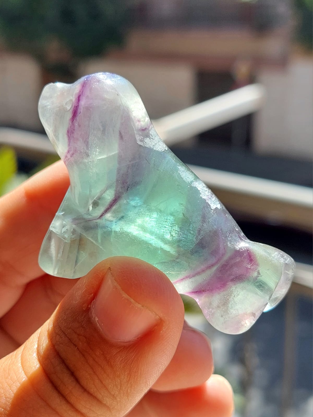 Fluorite foca - 5 cm