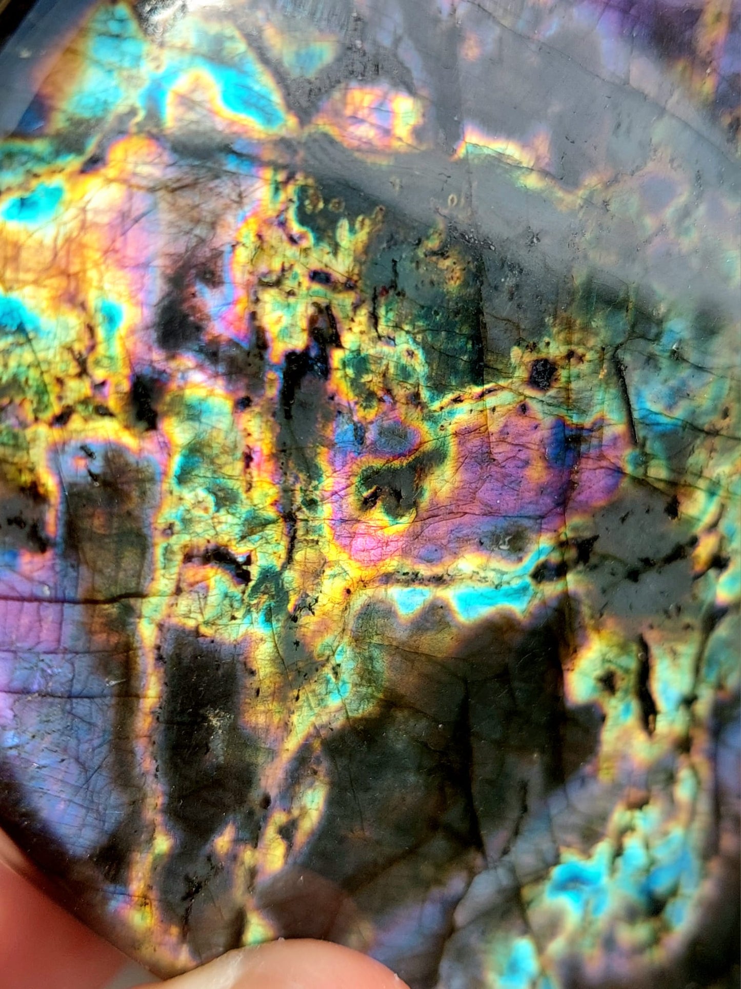 Labradorite/Spectrolite freeform