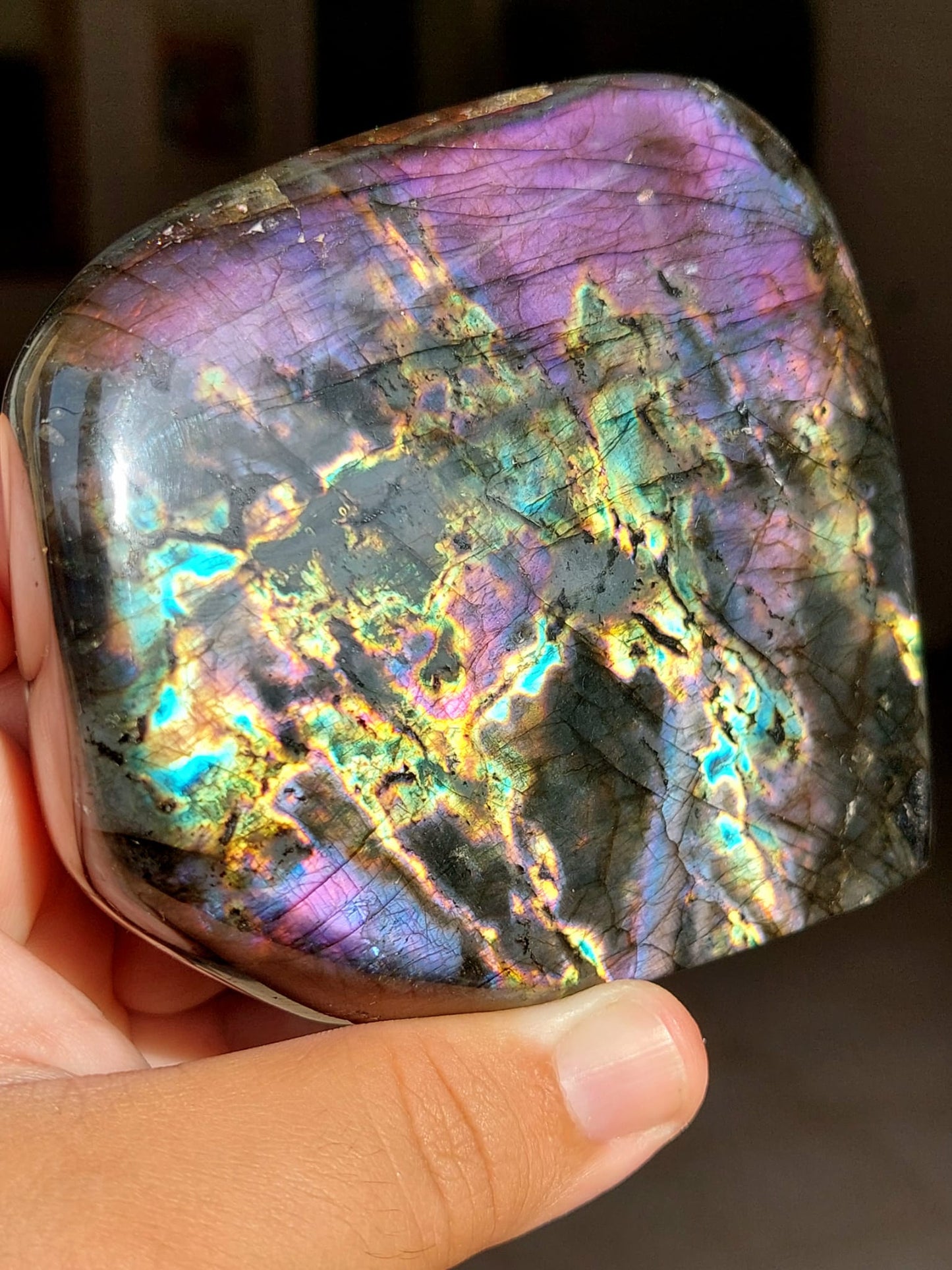 Labradorite/Spectrolite freeform