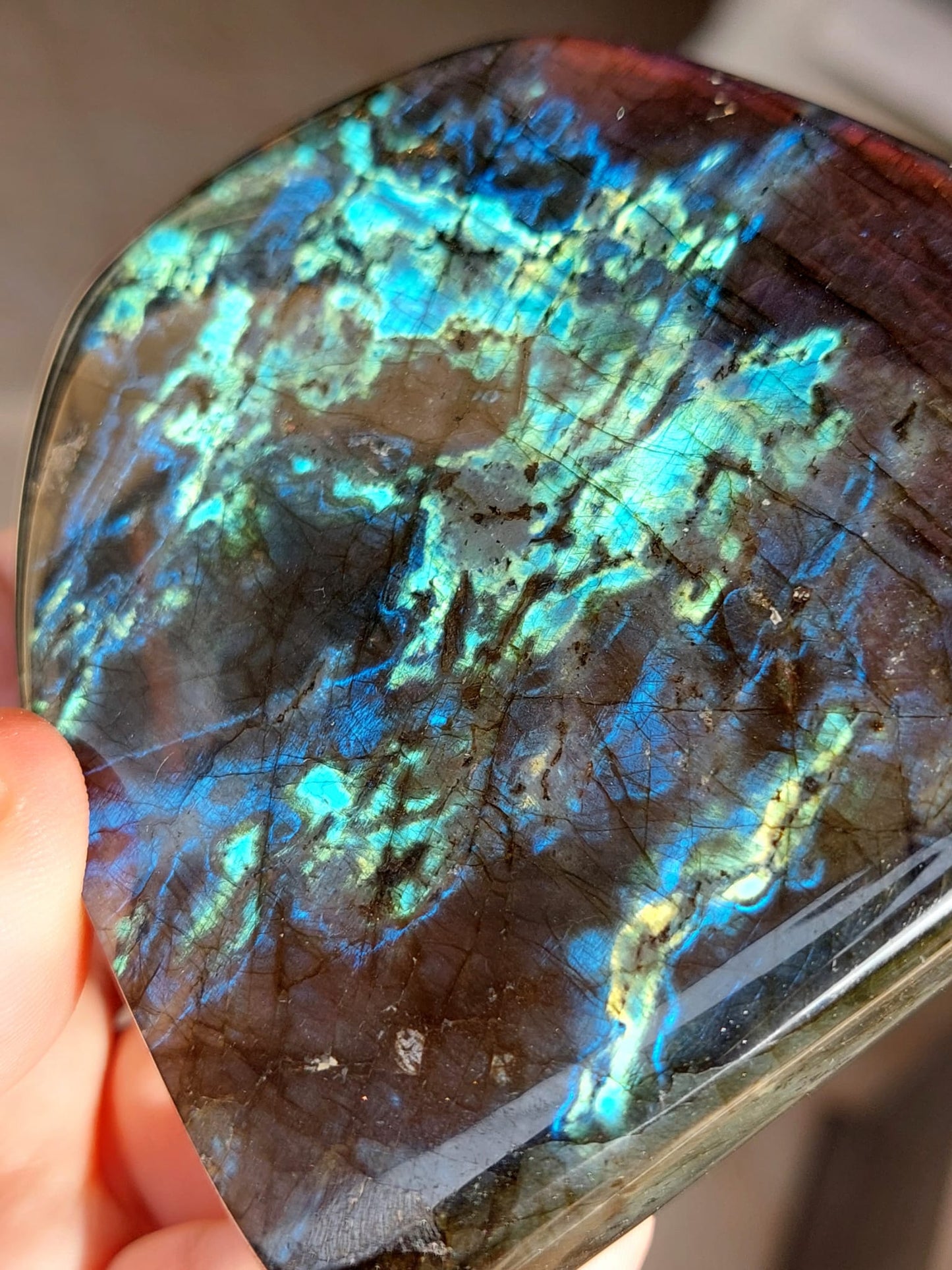 Labradorite/Spectrolite freeform