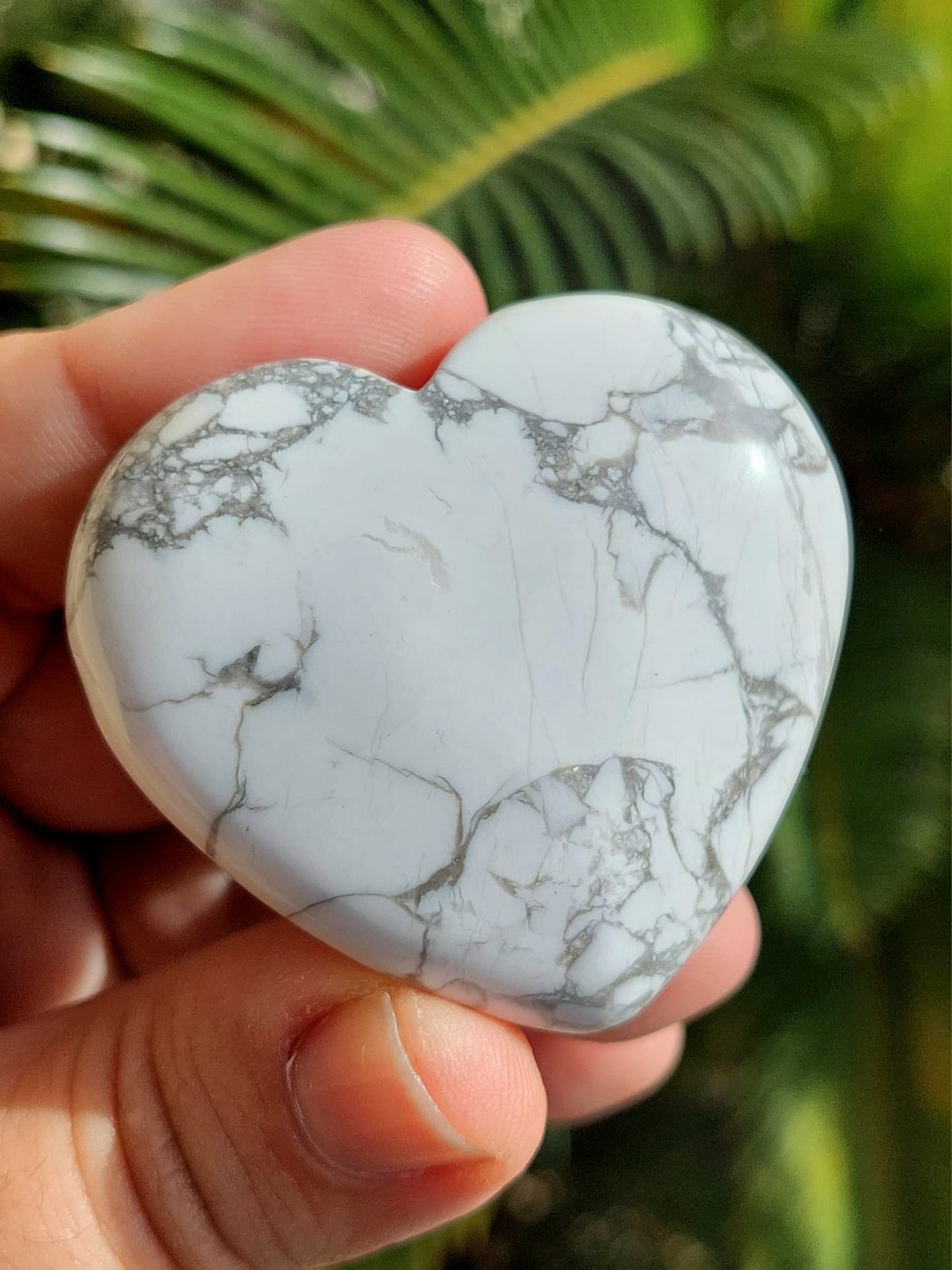 Howlite cuore - 5,2 cm