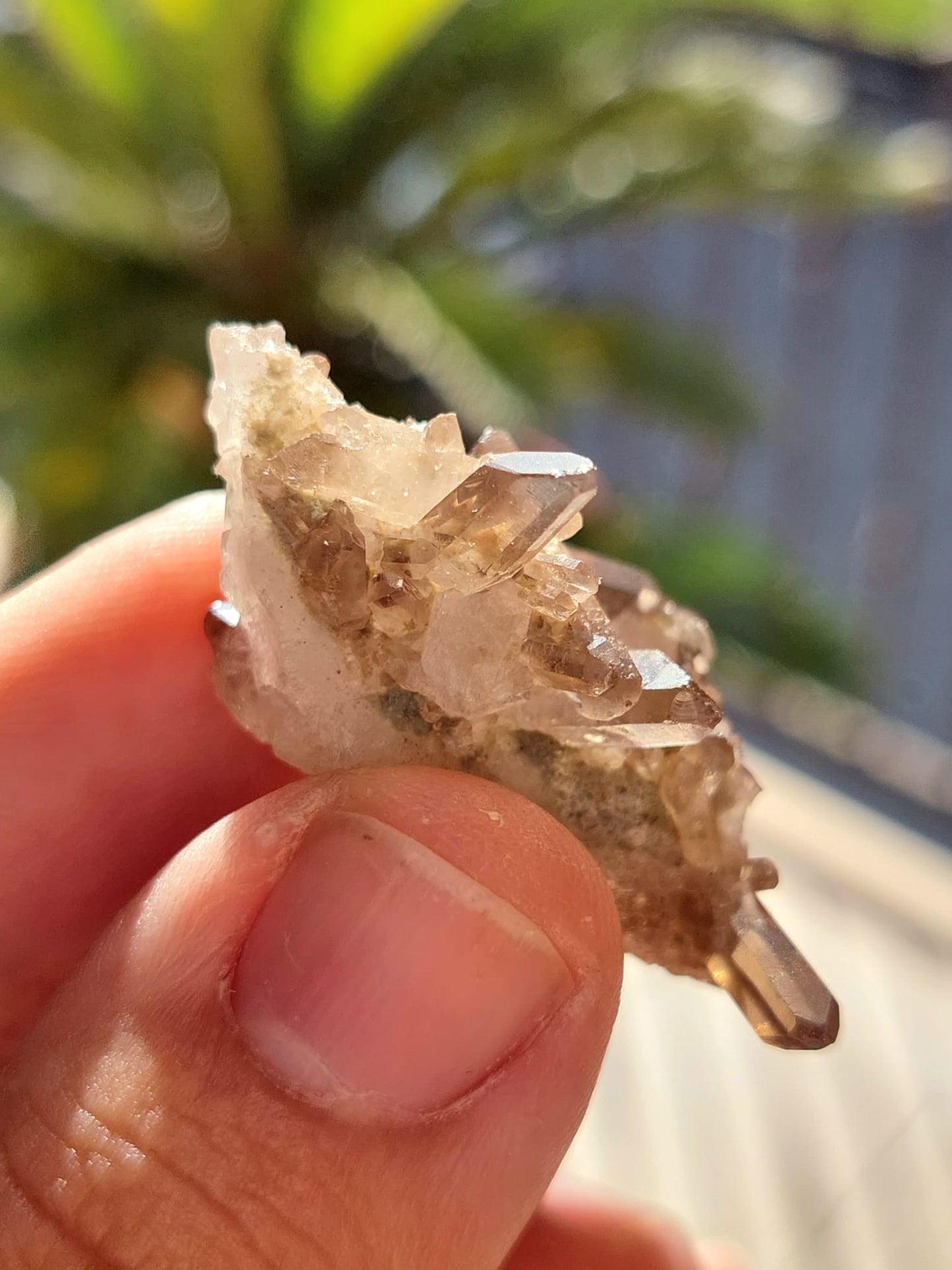 Quarzo Fumè mini Cluster