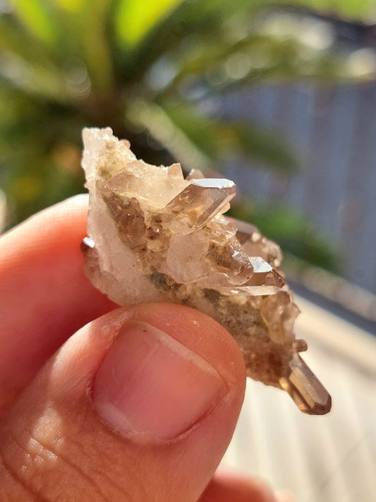 Quarzo Fumè mini Cluster