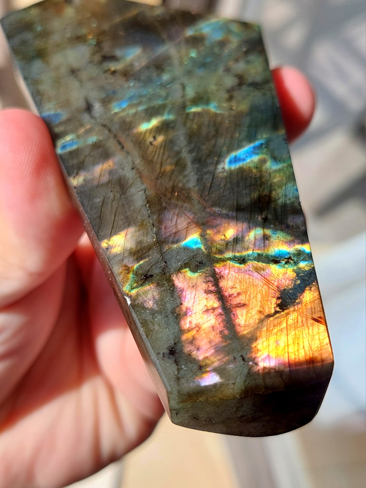 Labradorite/Spectrolite freeform