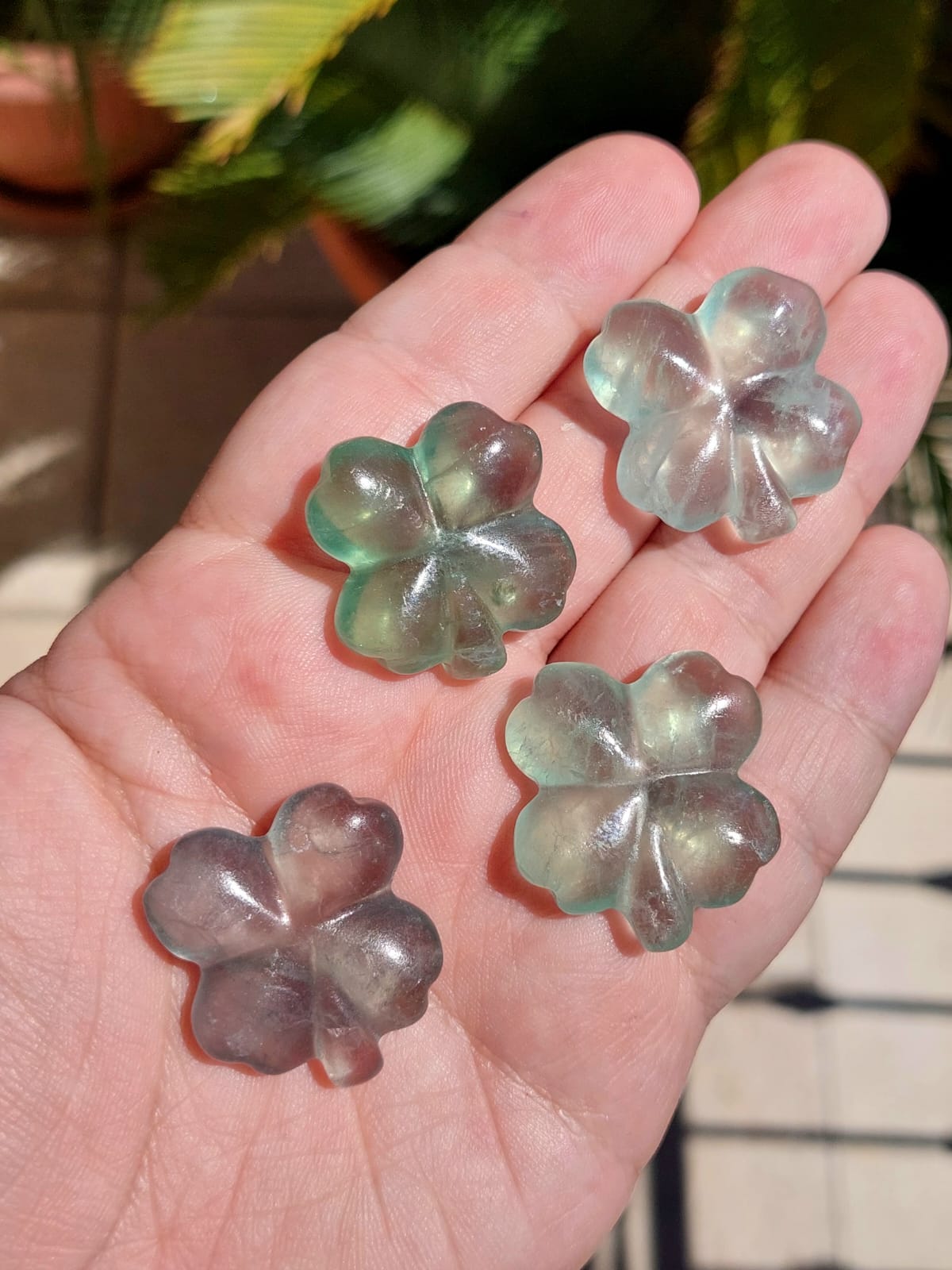 Fluorite quadrifoglio - 2,6/2,8 cm - 1 Pz