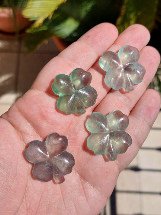 Fluorite quadrifoglio - 2,6/2,8 cm - 1 Pz