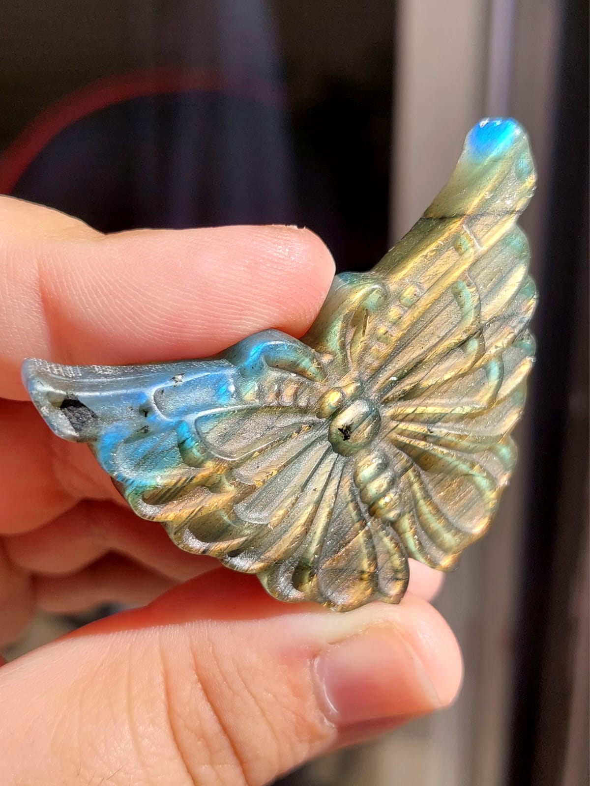 Labradorite farfalla - 5 cm