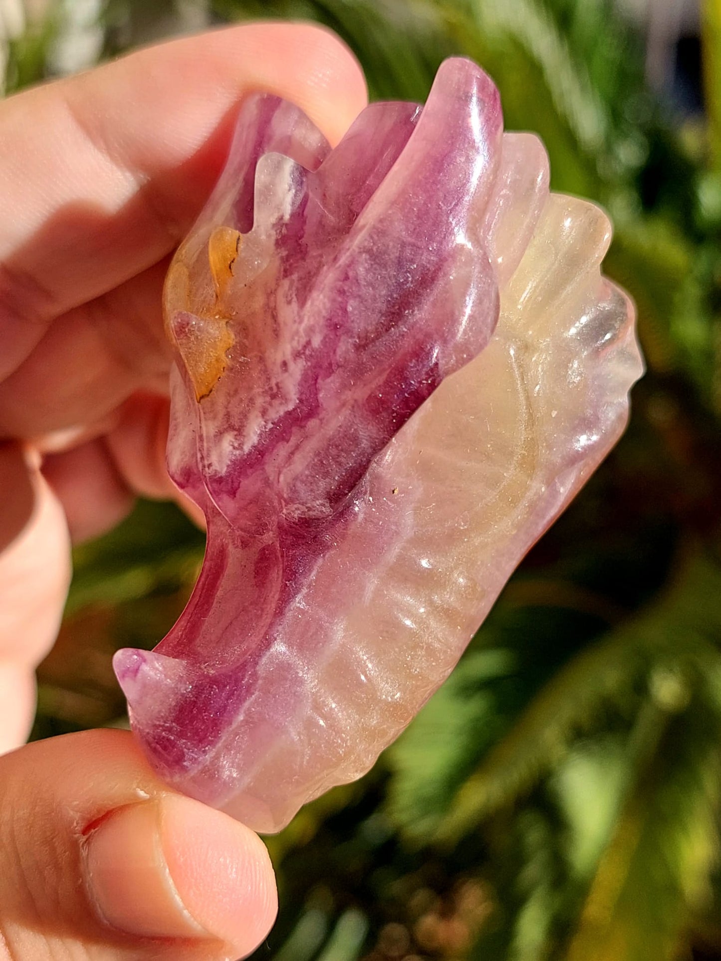 Testa Drago Fluorite - 5,9 cm