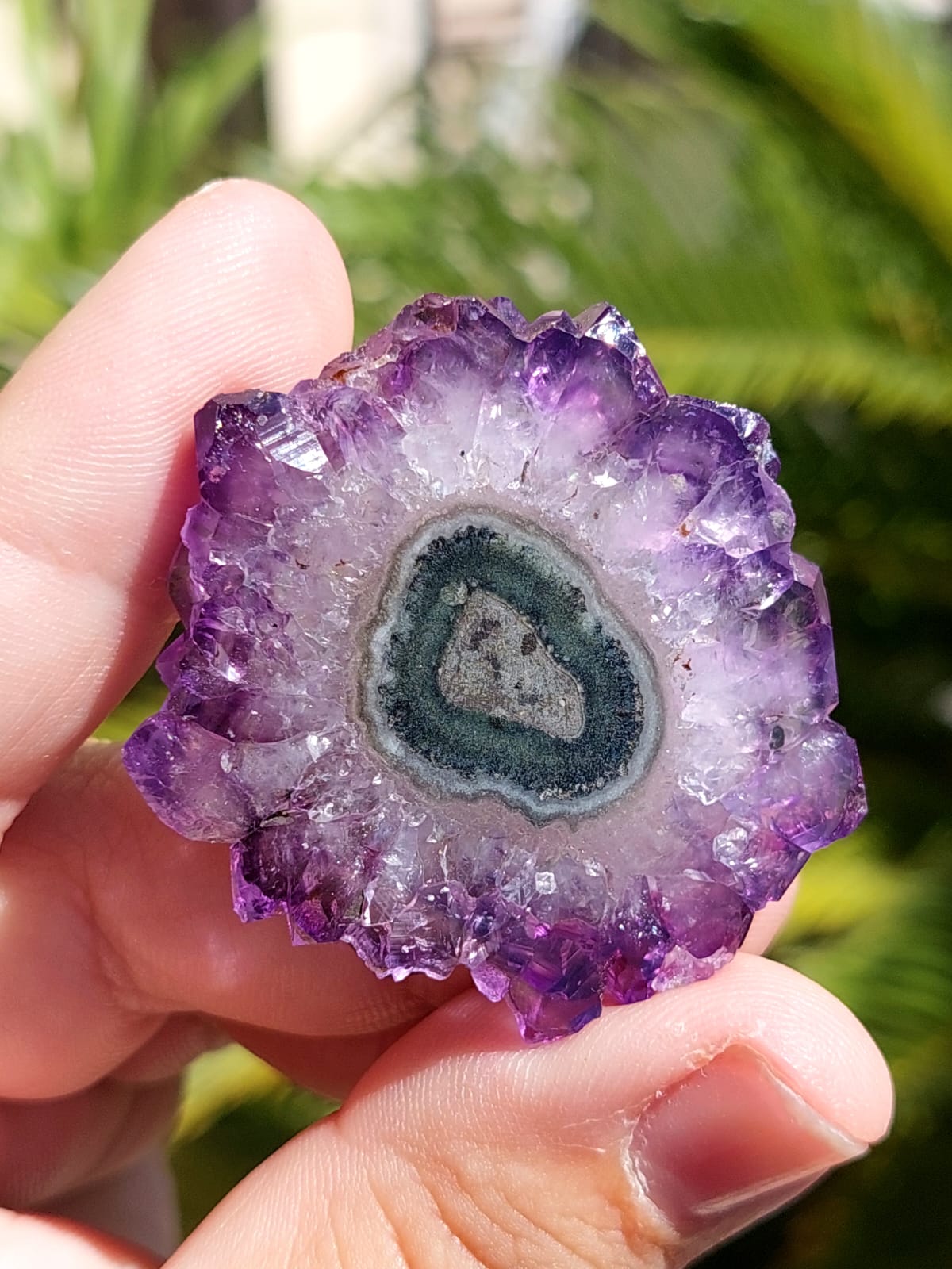 Ametista Stalattite/Fiore