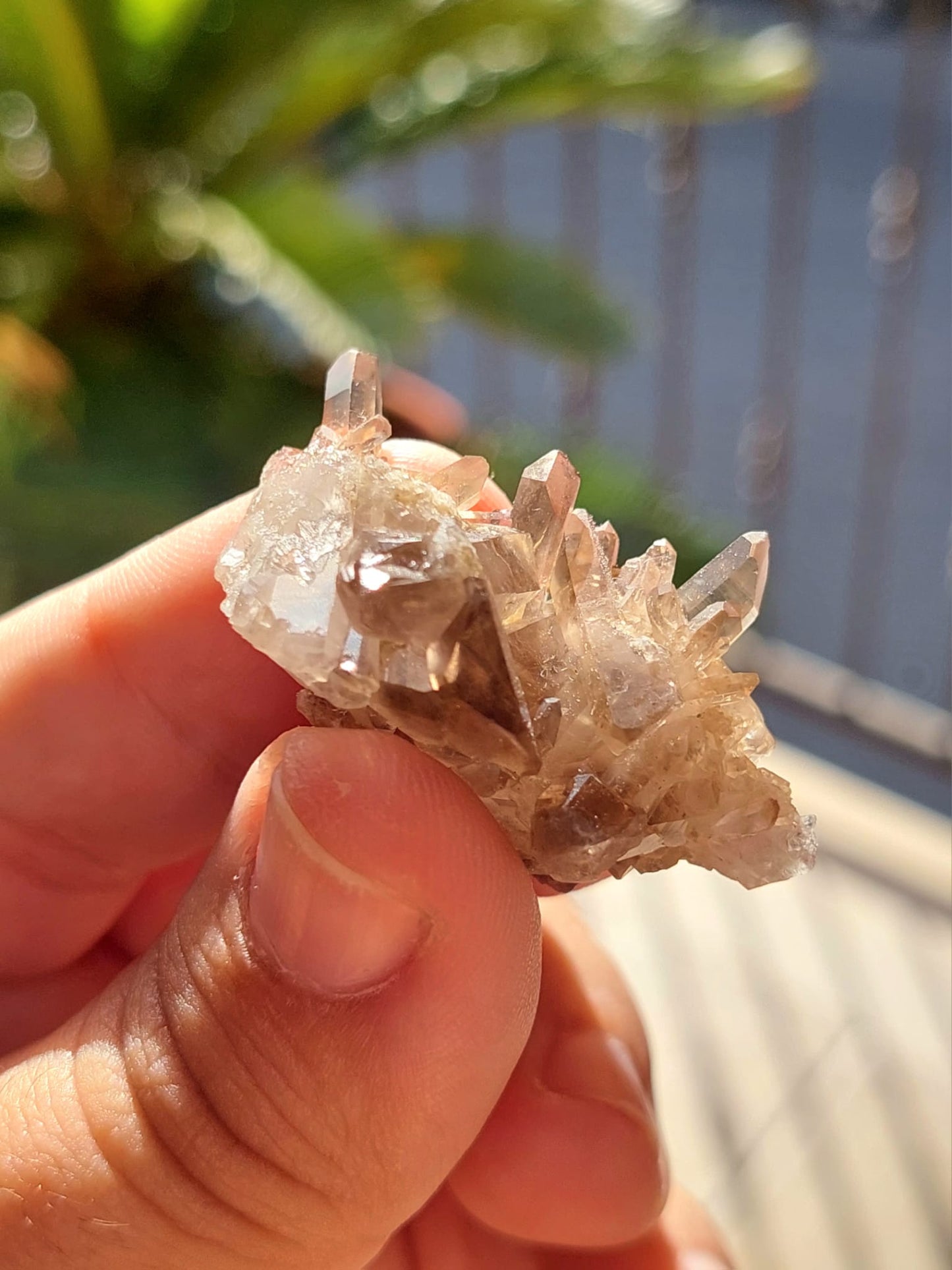 Quarzo Fumè mini Cluster