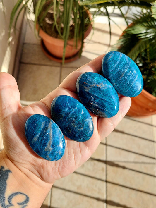 Apatite blu palmstone - 1 Pz