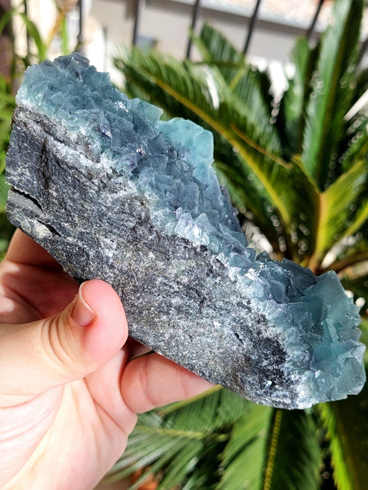 Fluorite Specimen XL